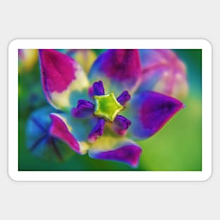 flower in bloom Sticker